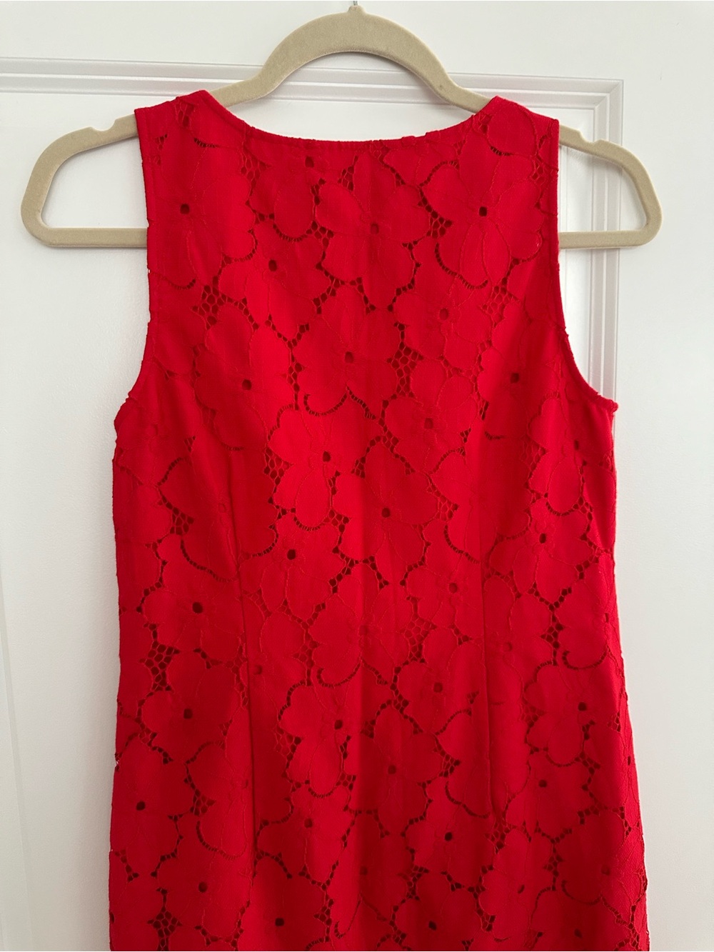 Banana Republic Vibrant Red Floral Lace Sleeveless Shift Dress - Americana - Picture 12 of 17